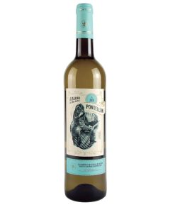 
Adegas Tollodouro Pontellón Albariño DO Rías 75cl