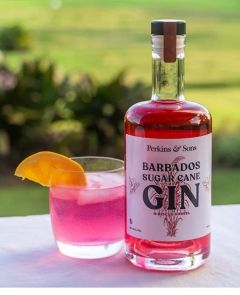 Perkins & Sons Barbados Sugar Cane Gin Hibiscus Sorrel 70cl